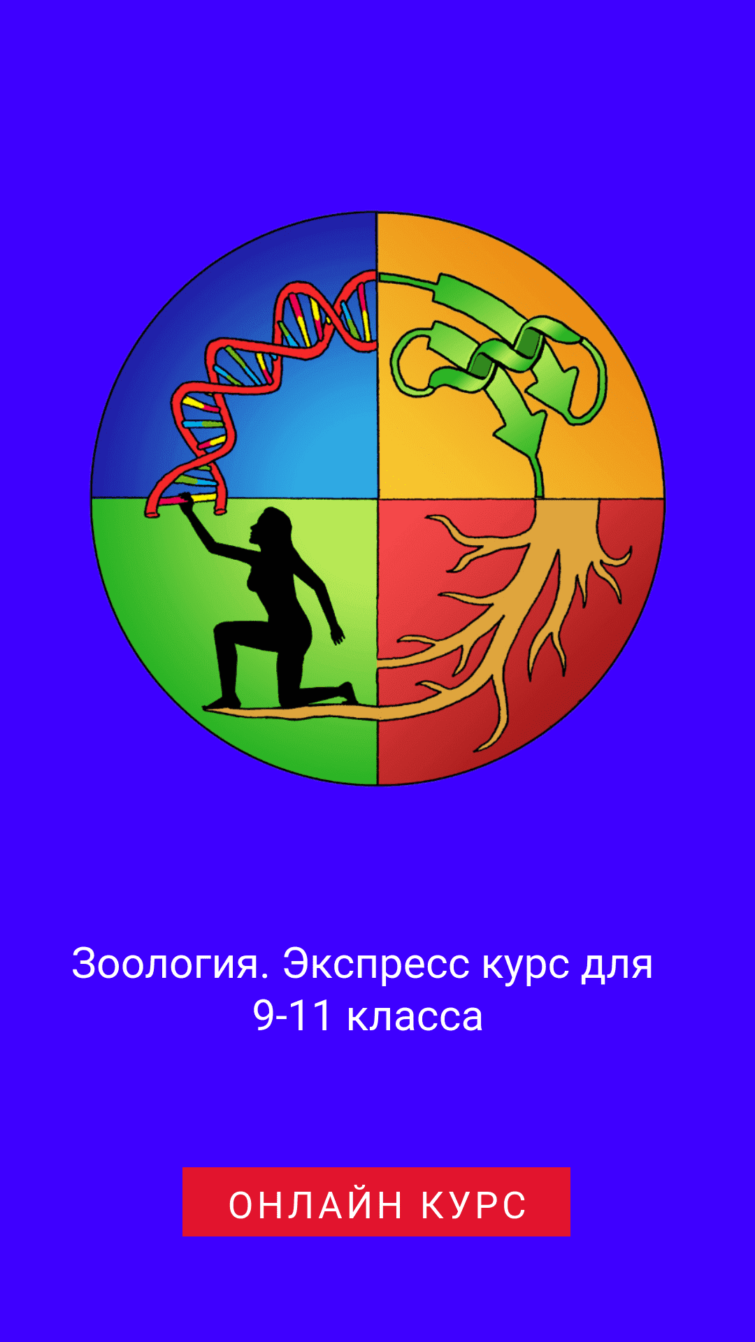 Бесплатный онлайн курс: Зоология. Экспресс курс для 9-11 класса | Бесплатная  онлайн академия IT